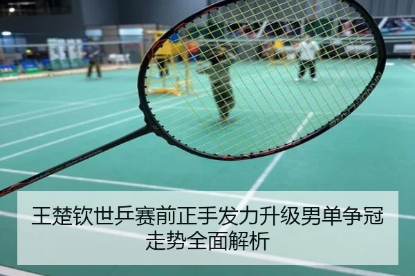 王楚钦世乒赛前正手发力升级男单争冠走势全面解析