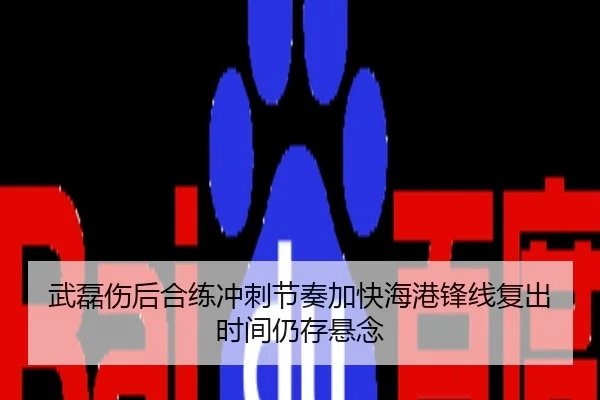 武磊伤后合练冲刺节奏加快海港锋线复出时间仍存悬念