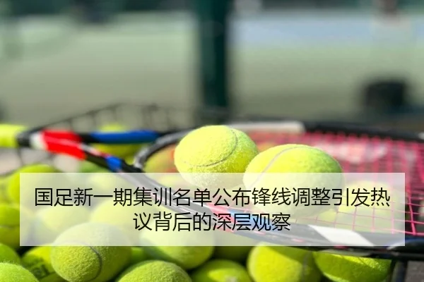 国足新一期集训名单公布锋线调整引发热议背后的深层观察